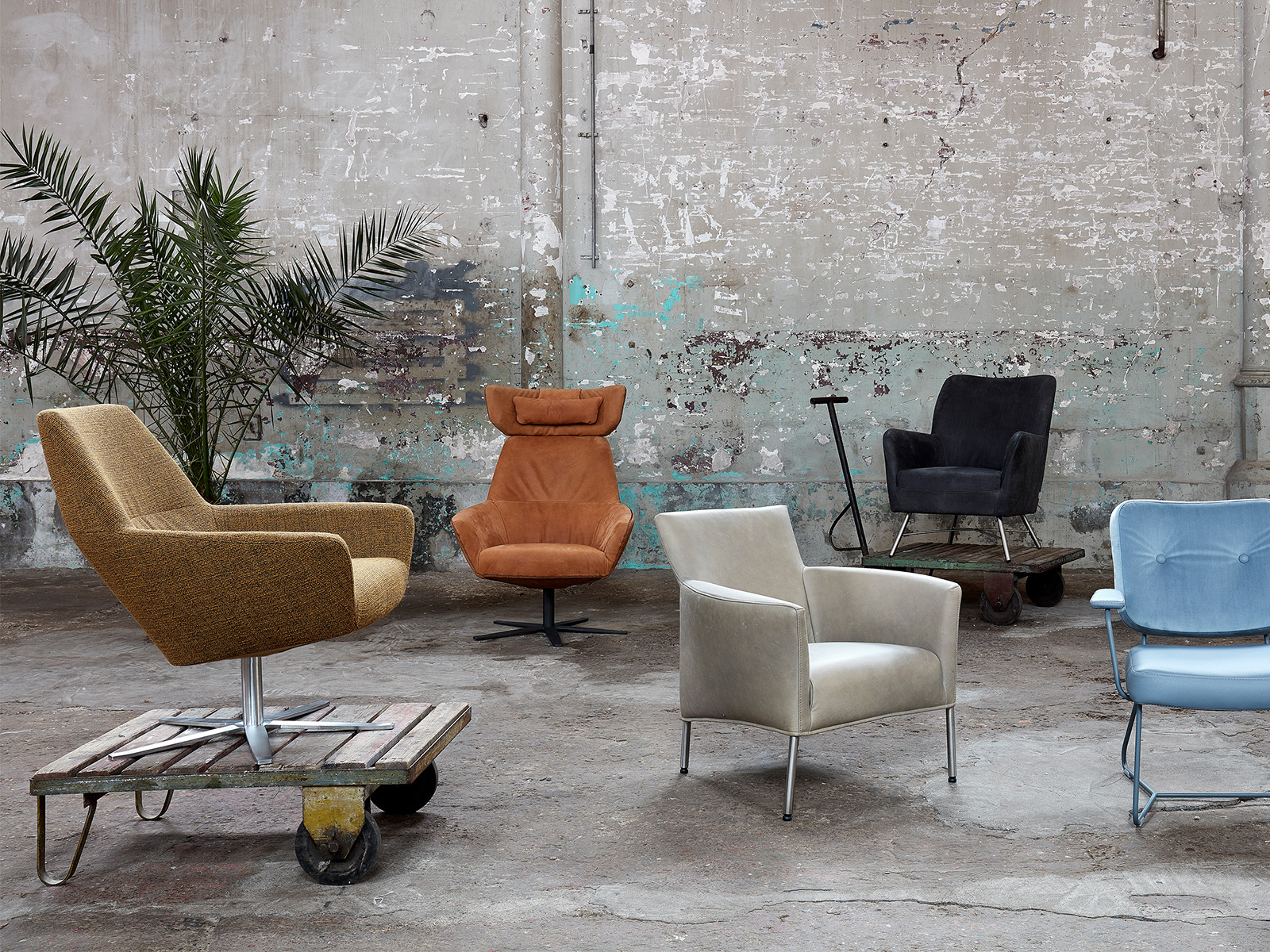 Zyba Fauteuil - Afbeelding 2